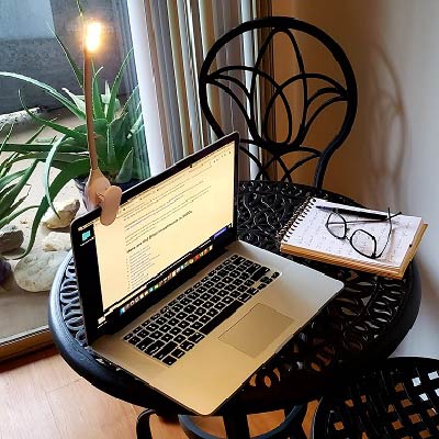 WonderFlex Book Light